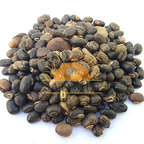 SriSatymev Black Kaunch Beej 1Kg | Mucuna Seeds