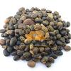 SriSatymev Black Kaunch Beej 1Kg | Mucuna Seeds view 1