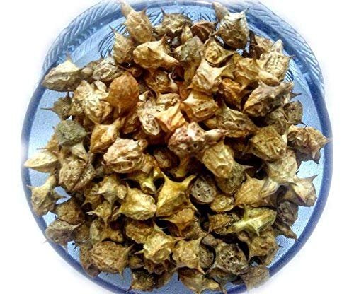 HINDU GURU GOYAL Gokhru Bada Gokshura Tribulus Terrestris (400 GRAM)