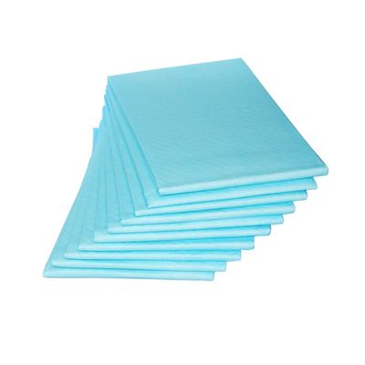 XYE-Store Incontinence Bed Pads Disposable Underpads for Adults, Baby, Women and Dog, Heavy Absorbency, Leak-Proof, Incontinence Underpads (24"x36", Blue) -10 Pack