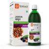 KRISHNA'S HERBAL & AYURVEDA Jamun Juice-500 Ml|(Pack Of 1)|Ayurvedic Way To Manage Blood Sugar|Good For Metabolic&Digestive Health view 1