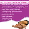 Neotea Athipattai Alai Barh Fig Tree Bark Powder, 1 Kg Set Of 1 view 2