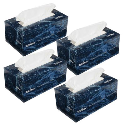 Freshee 100 Pulls 2 Ply Signature Car Tissue Paper Box Pack Of 4, Hygienic Fresh Skin Friendly Water Dissolvable Disposable Dry Tissue Made With 100% Virgin Fibre