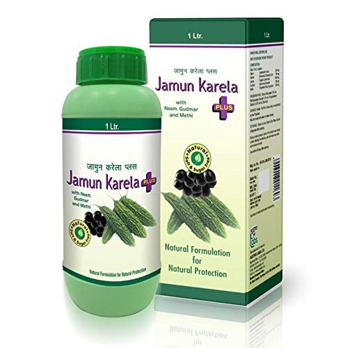 AUSTRO LABS Jamun Karela Plus Syrup 1 Ltr (Pack of 2 500ml Each)