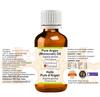 Greenwood Essential Pure Argan (Moroccan) Oil (Argania spinosa) | Cold Pressed | Natural | Undiluted | For Diluting Essential Oils | For Hair, Skin & Massage | Men & Women | 30ml view 2