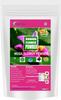Neotea Banana Flower, Vazhaipoo Powder, No Preservatives I Rich Micro-Nutrients I Ready To Cook I Good To Prepare Vada, 100% Pure And Natural, Supporting Bone Health, Non-Gmo 2 KG view 1
