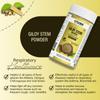 IYUSH Herbal Ayurveda Giloy Powder - 100gm For Immunity Booster And Healthy Metabolism view 3