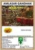 AMLASAR GANDHAK/YELLOW SULPHUR view 2