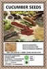 ORGANIC HERBS CUCUMBER SEEDS/KHEERE KE BEEJ view 2