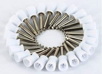 ADDLER Dental Polishing Cups Assorted 25 Pcs