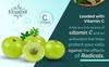 Streamline Amla Capsules, Vitamin C Supplement for Immune Support, Restores Skin Glow, Tightens Wrinkles, Supplement for Oxidative Stress, Digestion & Detoxification Support, 500mg, 30 Cap view 4
