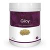 Herb Essential Giloy 500mg Tablet |Antioxidant Properties | Boosts Immunity & Digestion,1000 Tablets view 1