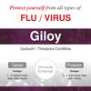 Herb Essential Giloy 500mg Tablet |Antioxidant Properties | Boosts Immunity & Digestion,1000 Tablets view 4