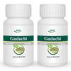 Jain Guduchi Stem Powder - 100 g (Pack of 2) view 1
