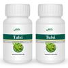 Jain Tulsi Powder 100 g (Pack of 2) view 1