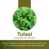 Jain Tulsi Powder 100 g (Pack of 2) view 2