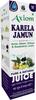 Axiom Karela Jamun Juice | Enriched with Neem, Karela, Jamun & Giloye | Helps to Maintain Blood Sugar Levels|Enhance Digestive System -1L (Pack of 4) view 1