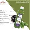 Axiom Karela Jamun Juice | Enriched with Neem, Karela, Jamun & Giloye | Helps to Maintain Blood Sugar Levels|Enhance Digestive System -1L (Pack of 4) view 3
