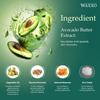 Waxxo Brazilian Liposoluble Wax for Bikini Area & Sensitive Skin Men & Women Hair Waxing | Easy Tan Removal with Avocado Butter | 800ml, Pack of 1 view 2