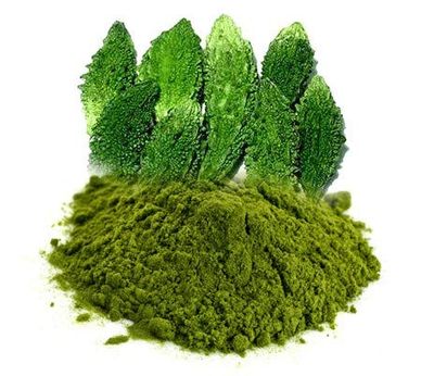 Aapkidukan Karela (Bitter Gourd) Powder 100 GMS