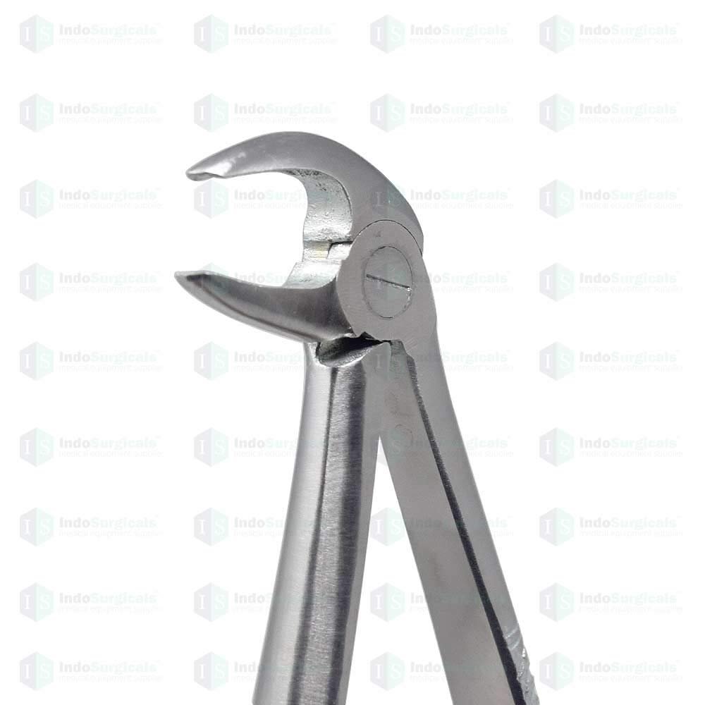 IS IndoSurgicals Lower Premolars #13 Dental Extraction Forceps