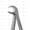 IS IndoSurgicals Lower Premolars #13 Dental Extraction Forceps view 1