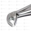 IS IndoSurgicals Lower Premolars #13 Dental Extraction Forceps view 2