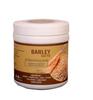 AL MASNOON Barley Sattu/Jau Ka Sattu 300g(pack of1) A Nutritious Energy Drink / 100% Natural view 1