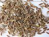 Aapkidukan Shahjeera Powder or Caraway Seeds Powder - 100 GM view 1