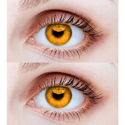 EYCOG 2 Pair Honey Honey Monthly Colored 0 Power Contact Lenses for Eyes Men and Women with Lens Case