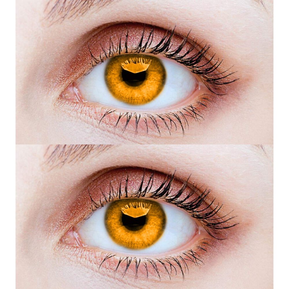 EYCOG 2 Pair Honey Honey Monthly Colored 0 Power Contact Lenses for Eyes Men and Women with Lens Case