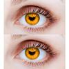 EYCOG 2 Pair Honey Honey Monthly Colored 0 Power Contact Lenses for Eyes Men and Women with Lens Case view 1