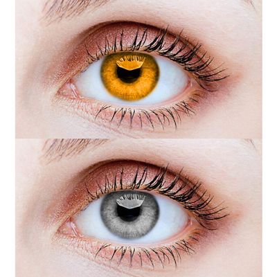 EYCOG 2 Pair Honey Grey Monthly Colored 0 Power Contact Lenses for Eyes Men and Women with Lens Case