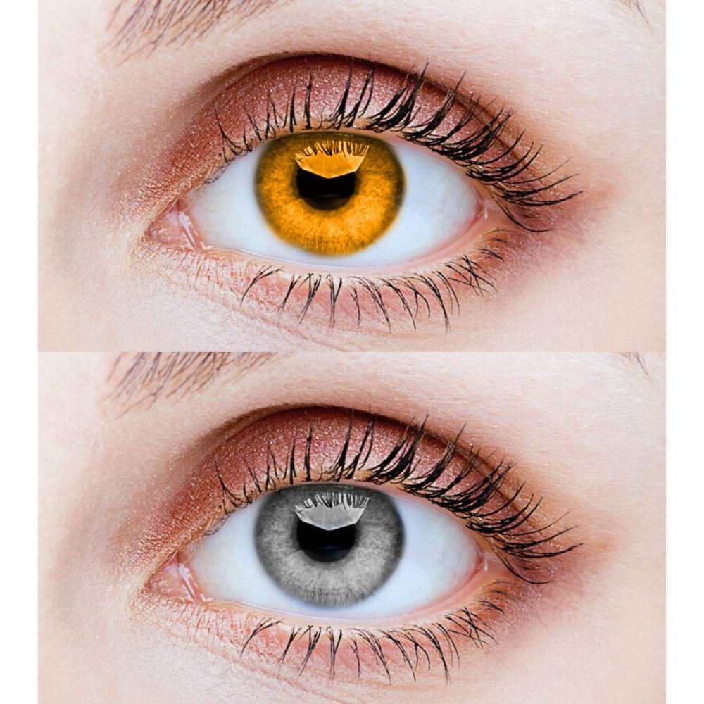 EYCOG 2 Pair Honey Grey Monthly Colored 0 Power Contact Lenses for Eyes Men and Women with Lens Case