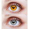 EYCOG 2 Pair Honey Grey Monthly Colored 0 Power Contact Lenses for Eyes Men and Women with Lens Case view 1