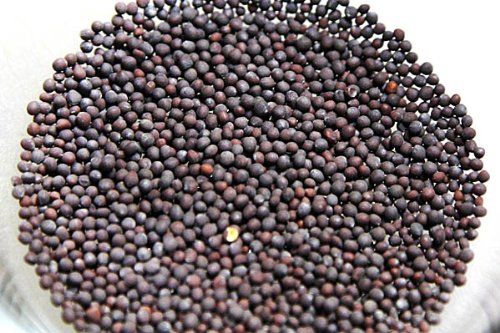Aapkidukan Whole Black Mustard -100gms Rai / Sarson Seeds