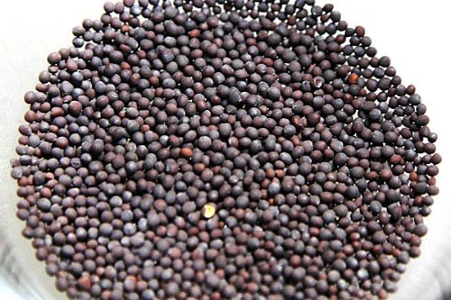 Aapkidukan Whole Black Mustard -100gms Rai / Sarson Seeds