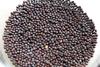 Aapkidukan Whole Black Mustard -100gms Rai / Sarson Seeds view 1