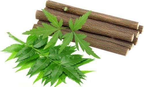 AADESH Enterprise Natural Neem Chew Sticks/Tree Datun Twigs Organic Toothbrush Pack of 20