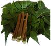 AADESH Enterprise Natural Neem Chew Sticks/Tree Datun Twigs Organic Toothbrush Pack of 20 view 2