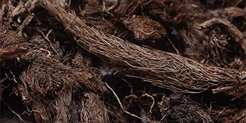 Aapkidukan Jatamansi Root-100 GM/Nardostachys Jatamansi Musk Root Spikenard / nard