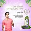 Jeevanras Karela Jamun Swaras 500 ml I Maintaining Blood Sugar Level | Lowers Bad Cholesterol Level | For Glowing Skin and Lustrous Hair | 100% Natural WHO GMP,GLP Certified Product view 3