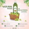 Jeevanras Axiom Herbal Amla Juice -1000 Ml | Goodness Of Amla Extract | Natural Immunity Booster Enriched With Vitamin C | Boost Digestion System | Helps To Improve Eyes And Hair | No Added Sugar view 2