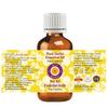 Deve Herbes Garlic Essential Oil (Allium sativum) Pure | Non-Sticky | Non-greasy | Lightweight | Men & Women | All Skin Types | Steam Distilled 10ml view 2