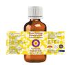 Deve Herbes Hyssop Essential Oil (Hyssopus officinalis) Pure | Non-Sticky | Non-greasy | Lightweight | Men & Women | All Skin Types | Steam Distilled 10ml view 2