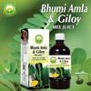 BASIC AYURVEDA Bhumi Amla & Giloy Mix Juice With Wheatgrass 450 Ml | view 2