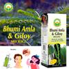 BASIC AYURVEDA Bhumi Amla & Giloy Mix Juice With Wheatgrass 450 Ml | view 3