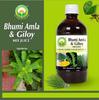 BASIC AYURVEDA Bhumi Amla & Giloy Mix Juice With Wheatgrass 450 Ml | view 4