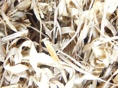 Xetomos Dried Lemon Grass Cymbopogon Flexuosus Asagar Grass 100g