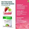 OZiva Vegan Collagen (Berry Orange) for Skin, Hair & Nails | Plant-Based Collagen Peptides Supplement for Men & Women | Non-GMO, No Sugar Added | Powder, 200g (Pack of 1) view 4